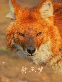 豺王梦" width="120" height="150"