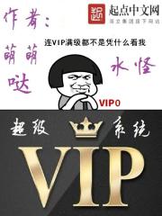 超级VIP系统