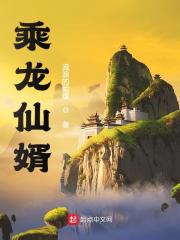 乘龙仙婿" width="120" height="150"