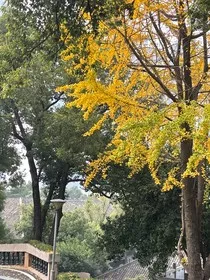 成长不是一瞬间" width="120" height="150"