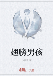 翅膀男孩" width="120" height="150"