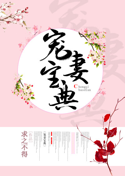宠妻宝典" width="120" height="150"