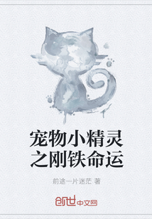 宠物小精灵之刚铁命运" width="120" height="150"