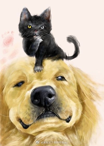 穿成猫后靠玄学爆红" width="120" height="150"