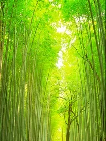 穿越少白又穿越" width="120" height="150"