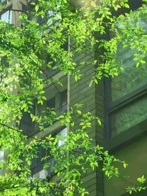 春末已过，月光再无" width="120" height="150"