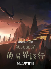 磁场癫龙的异界旅行" width="120" height="150"