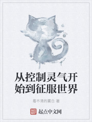 从控制灵气开始到征服世界" width="120" height="150"