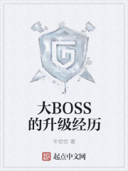 大BOSS的升级经历