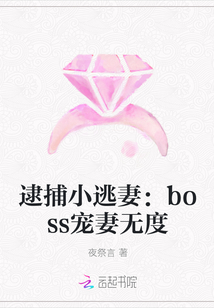 逮捕小逃妻：boss宠妻无度