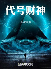 代号财神" width="120" height="150"