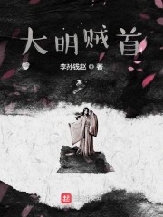 大明贼首" width="120" height="150"
