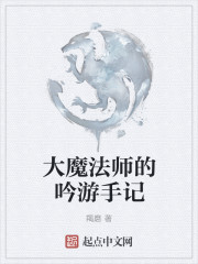 大魔法师的吟游手记