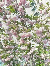 当各大动画片穿越到现代生" width="120" height="150"