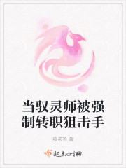 当驭灵师被强制转职狙击手