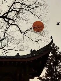 盗墓三重奏" width="120" height="150"