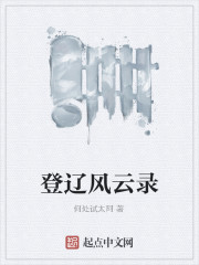 登辽风云录" width="120" height="150"