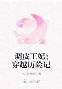 调皮王妃：穿越历险记