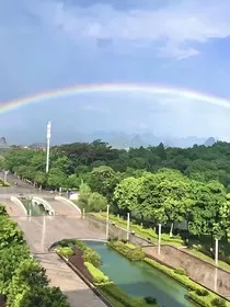 蝶华浮梦" width="120" height="150"