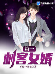 第一刺客女婿" width="120" height="150"