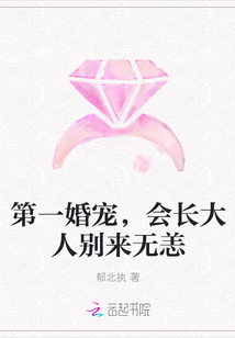 第一婚宠，会长大人别来无恙