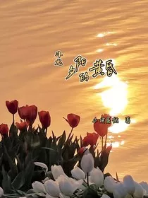 斗龙：夕阳的黄昏" width="120" height="150"