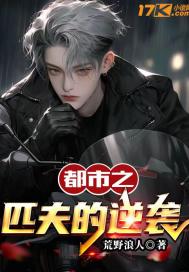 都市之匹夫的逆袭" width="120" height="150"
