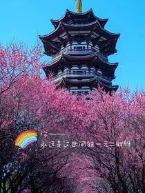 独一无二——你" width="120" height="150"
