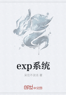 exp系统