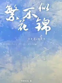 繁花不似锦" width="120" height="150"