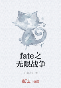 fate之无限战争