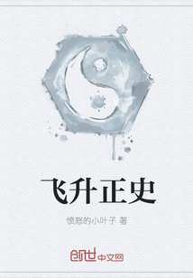 飞升正史" width="120" height="150"