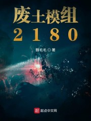 废土模组2180