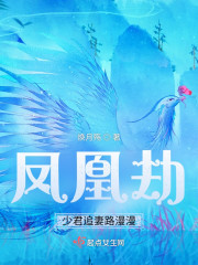 凤凰劫，少君追妻路漫漫" width="120" height="150"