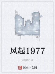 风起1977