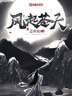 风起苍天" width="120" height="150"