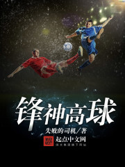 锋神高球" width="120" height="150"