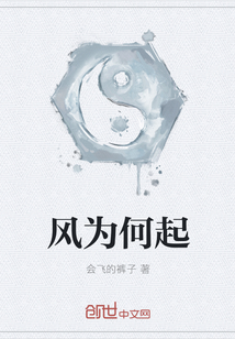 风为何起" width="120" height="150"