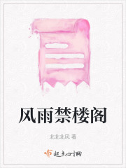 风雨禁楼阁" width="120" height="150"