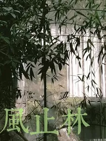 风止林" width="120" height="150"