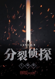 分裂侦探之暗影" width="120" height="150"