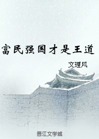 富民强国才是王道