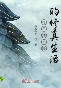 符咒师王野的修真生活