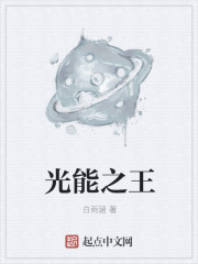 光能之王" width="120" height="150"