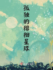 孤独的徘徊星球" width="120" height="150"