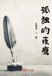 孤独的夜鹰" width="120" height="150"
