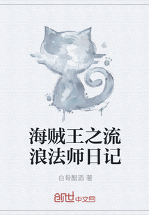 海贼王之流浪法师日记