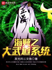 海贼之大武道系统" width="120" height="150"