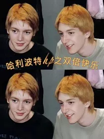 哈利波特hp之双倍快乐" width="120" height="150"
