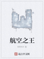 航空之王" width="120" height="150"